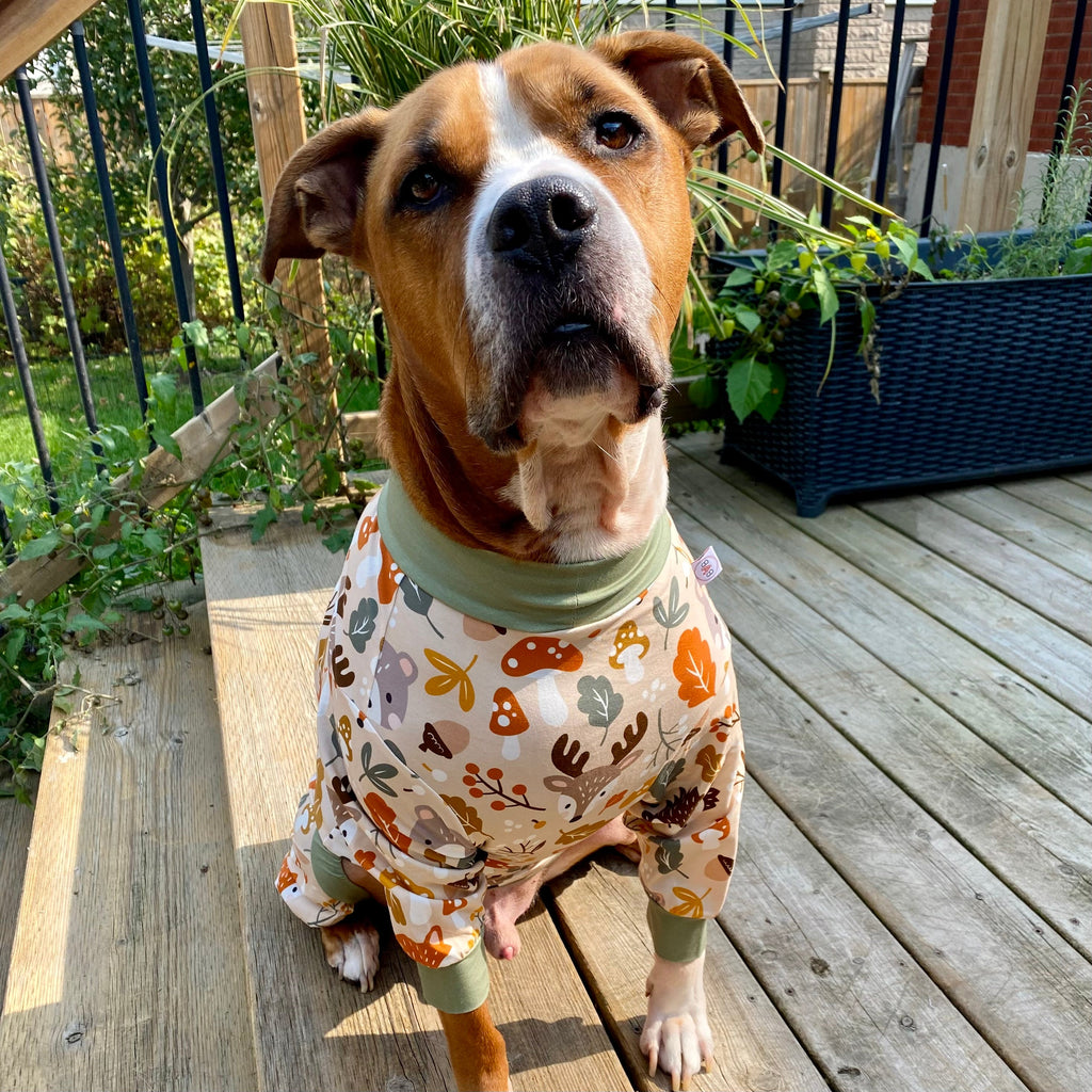 Forest Animals Dog Pajamas