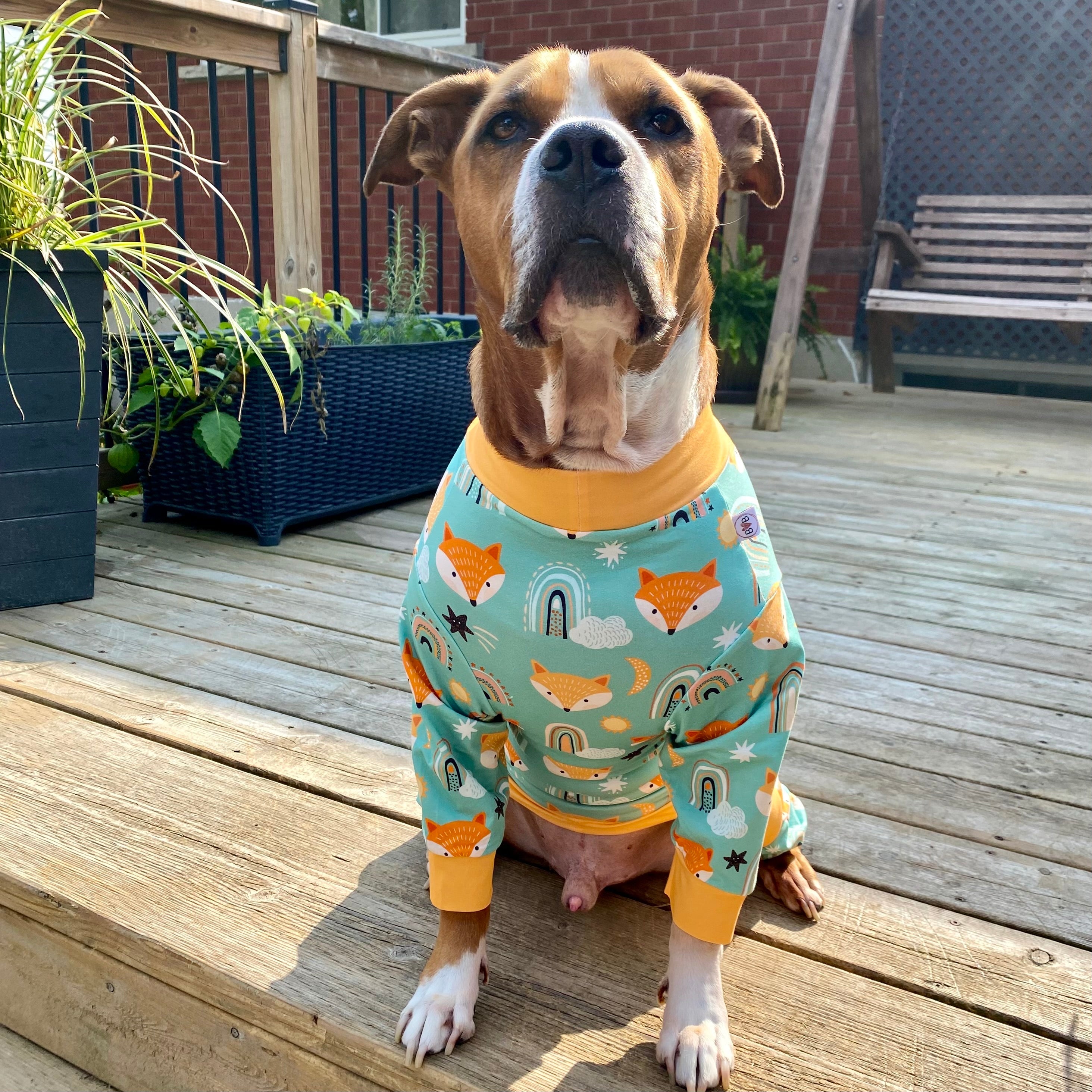Foxy Dog Pajamas