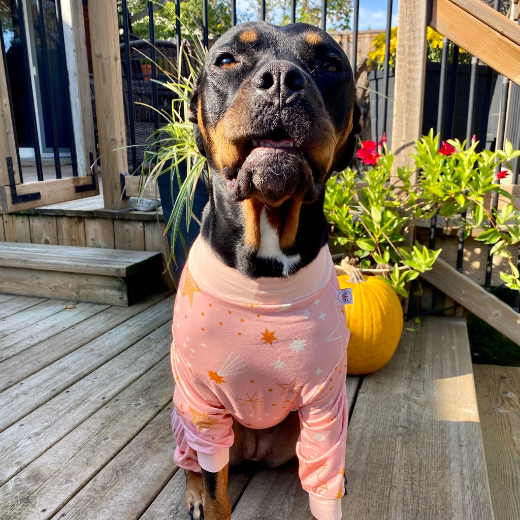 Sweet Dreams Dog Pajamas