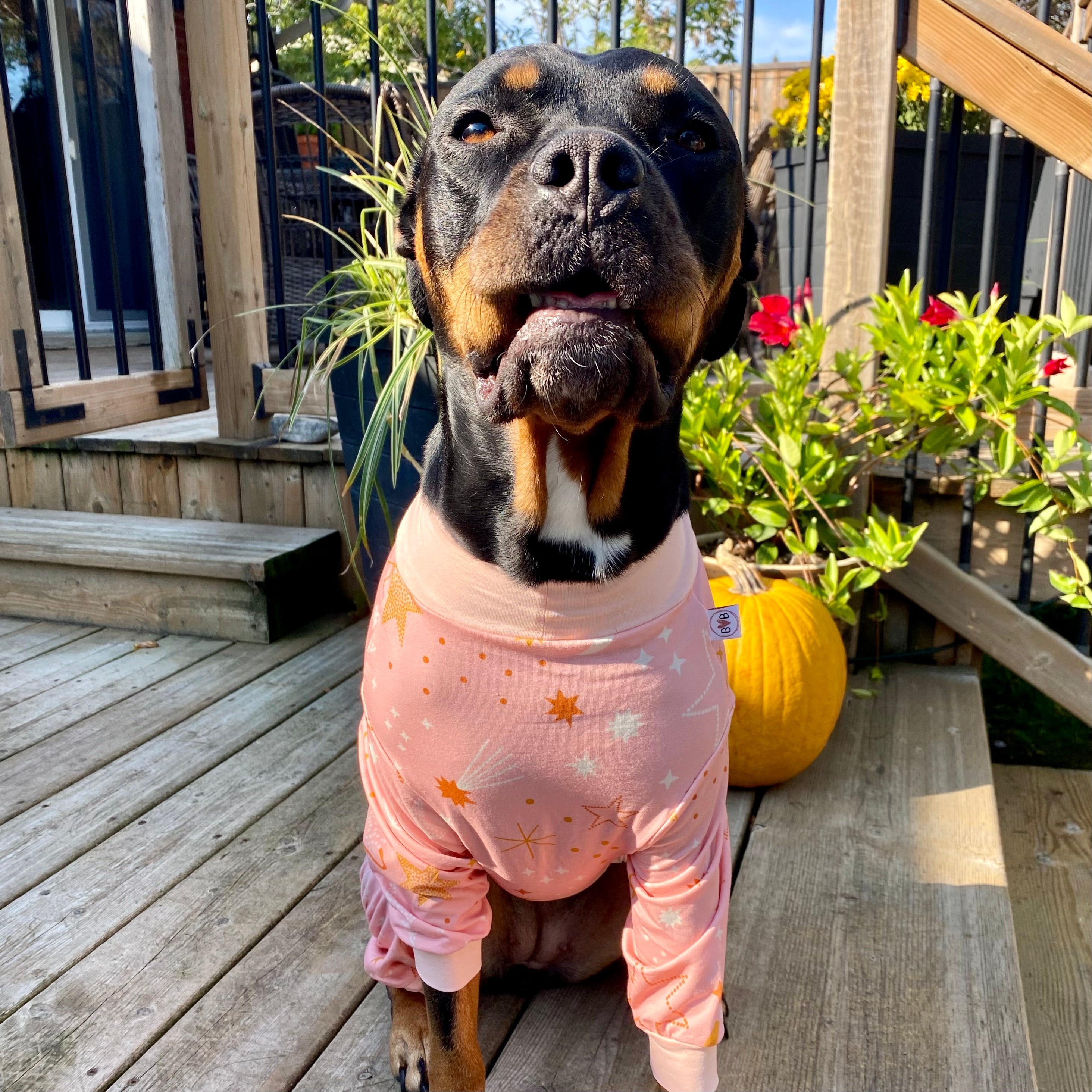 Sweet Dreams Dog Pajamas